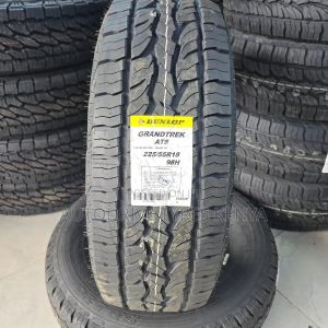 225/55R18 Dunlop Grandtrek All Terrain Tire